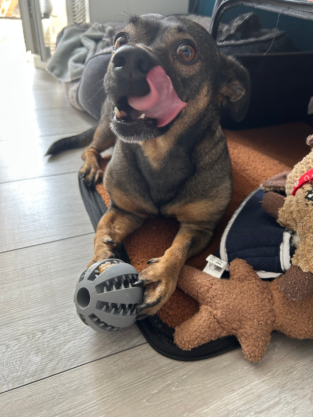 Robustes Kauspielzeug aus Gummi für Hunde – Sicheres, bissfestes Trainingsspielzeug für Haustiere