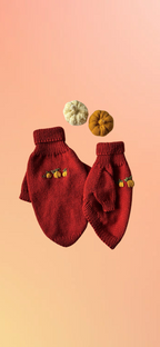 🍂 Warmer und gemütlicher Kürbis-Hundepullover