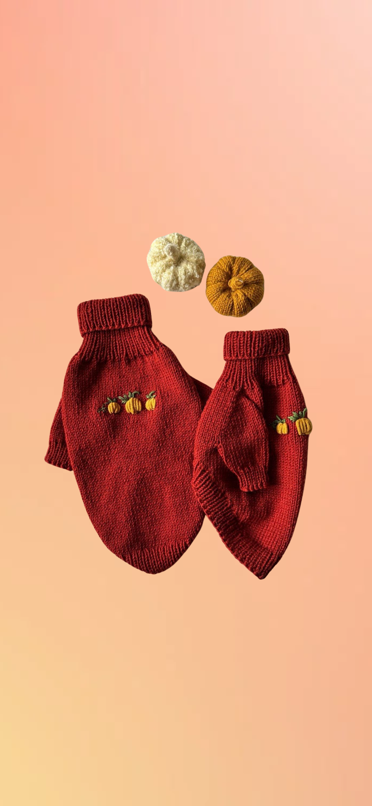 🍂 Warmer und gemütlicher Kürbis-Hundepullover