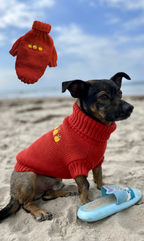 🍂 Warmer und gemütlicher Kürbis-Hundepullover