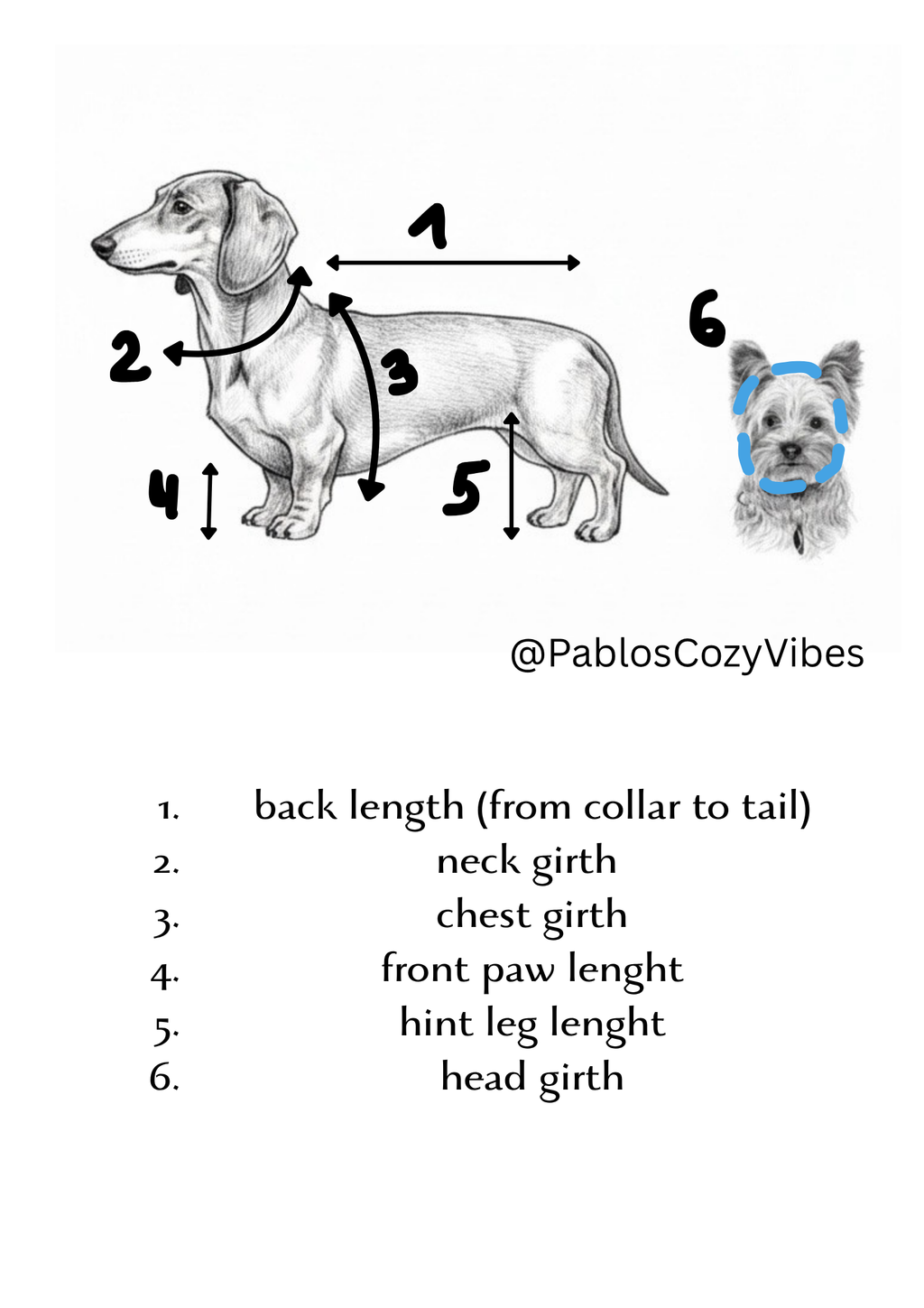 🍂 Warmer und gemütlicher Kürbis-Hundepullover