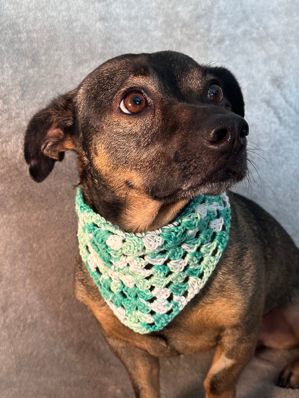 🧶 Handgefertigter gehäkelter Halsschal – weich, gemütlich und einzigartig