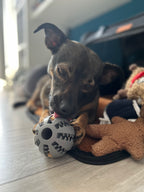 Robustes Kauspielzeug aus Gummi für Hunde – Sicheres, bissfestes Trainingsspielzeug für Haustiere