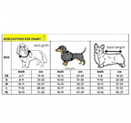 🍂 Warmer und gemütlicher Kürbis-Hundepullover