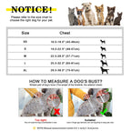 ⭐ Personalisiertes Hundegeschirr mit Namen | Nylon & Leder | Anti-Zug M-L | Gravur Gratis