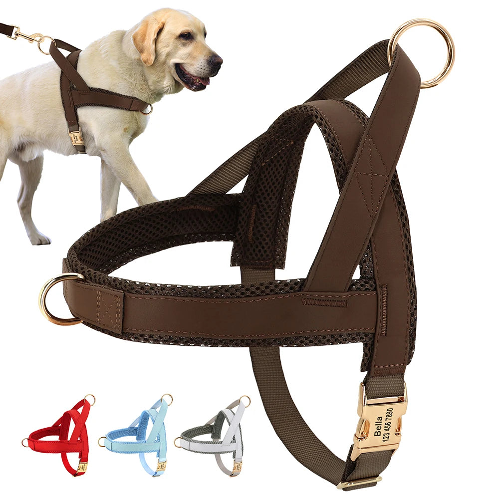 ⭐ Personalisiertes Hundegeschirr mit Namen | Nylon & Leder | Anti-Zug M-L | Gravur Gratis
