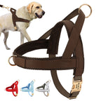 ⭐ Personalisiertes Hundegeschirr mit Namen | Nylon & Leder | Anti-Zug M-L | Gravur Gratis