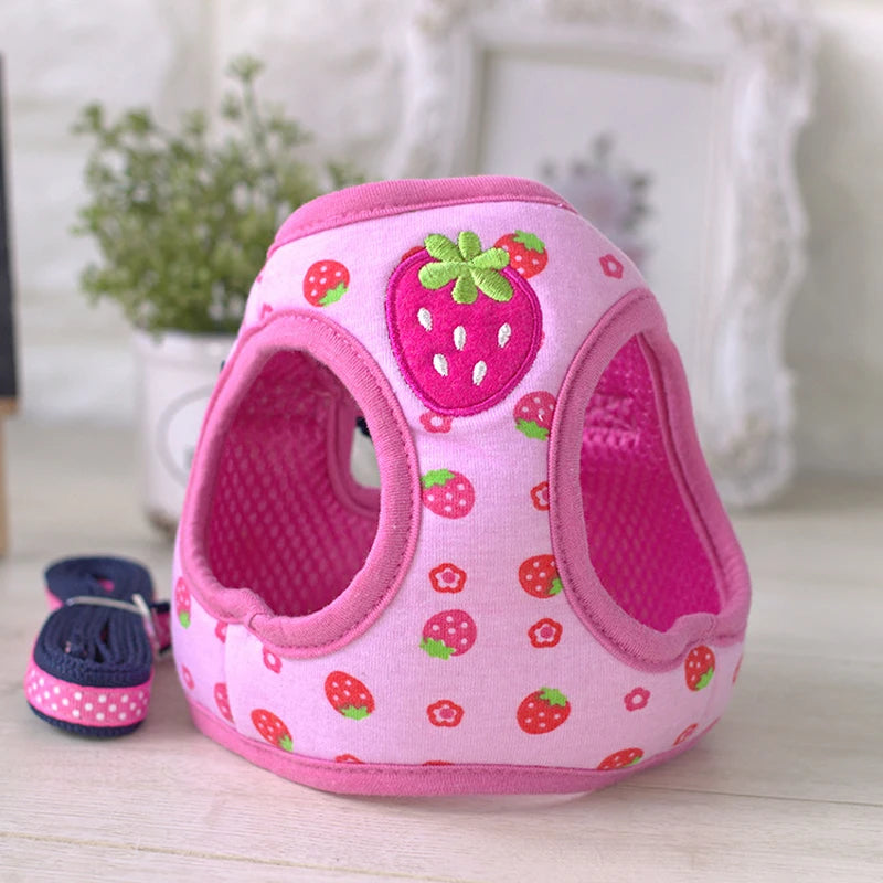 ⭐ Hunde Geschirr Set Klein | Weiches Mesh mit Leine | Atmungsaktiv für Chihuahua & Mops