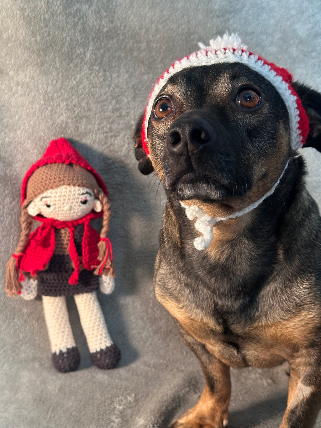 Handgefertigte gehäkelte Weihnachtsmütze für Hunde – Festliches Weihnachtsaccessoire🎄
