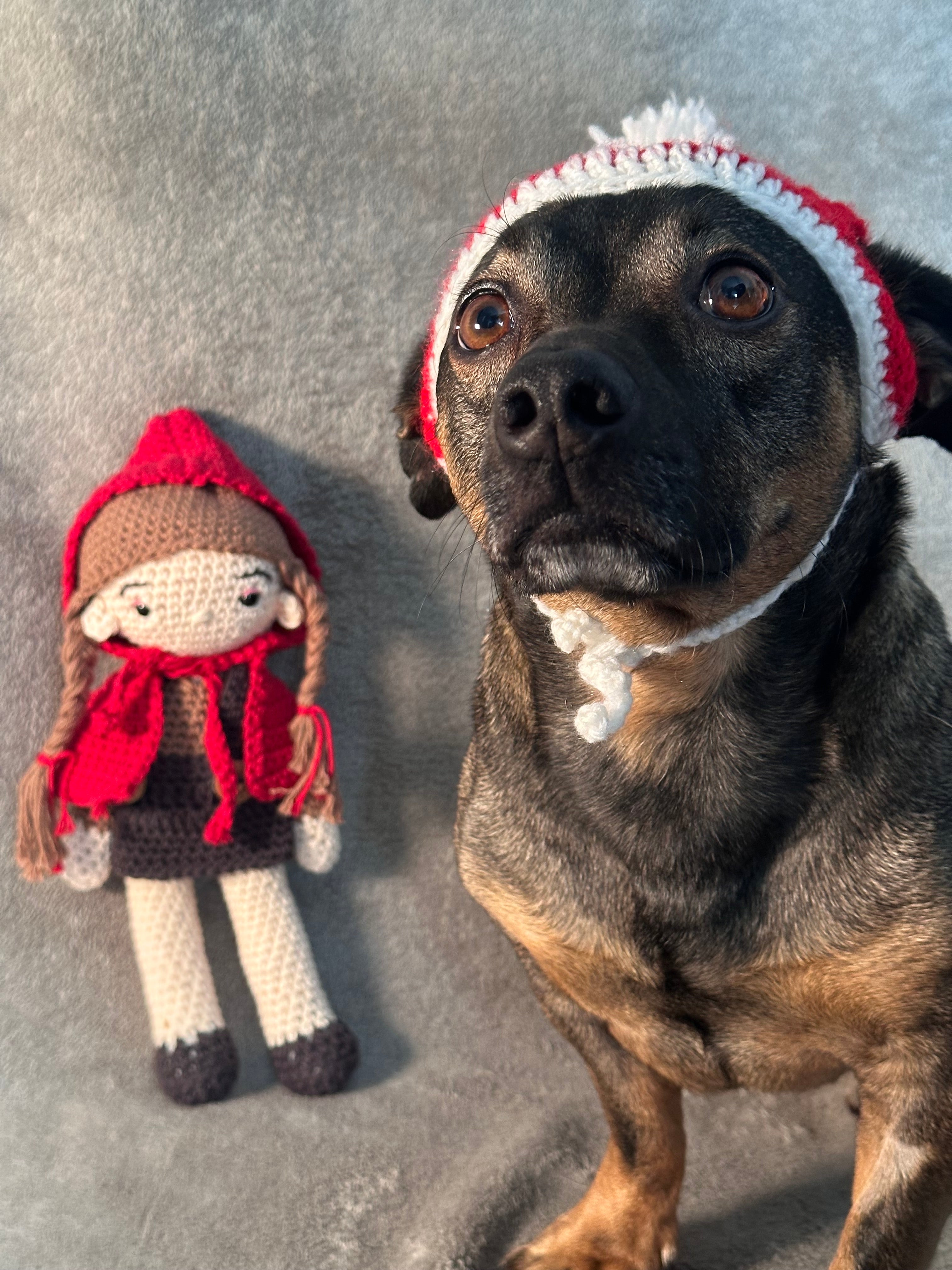 Handgefertigte gehäkelte Weihnachtsmütze für Hunde – Festliches Weihnachtsaccessoire🎄