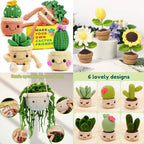 ⭐ Häkelset Anfänger Hängepflanze | DIY Kit mit Video & 40% Extra Garn | Auto Deko