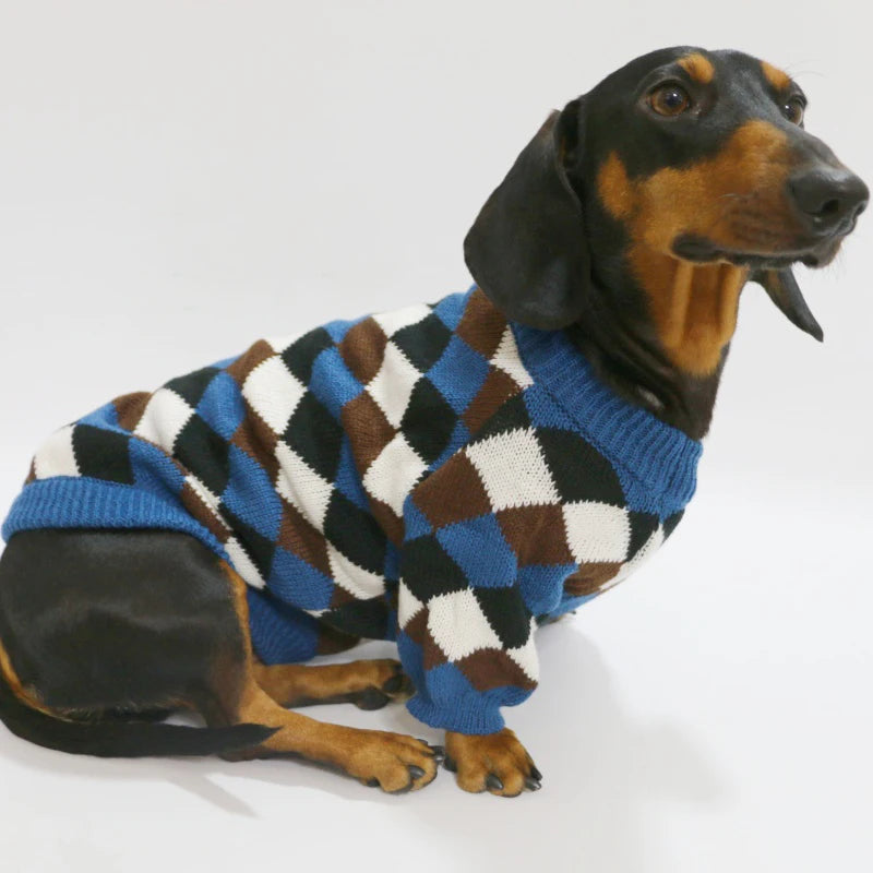 ⭐ Hunde Pullover 100% Baumwolle | Weicher Strickpulli Dackel & Frenchie | Warm & Atmungsaktiv