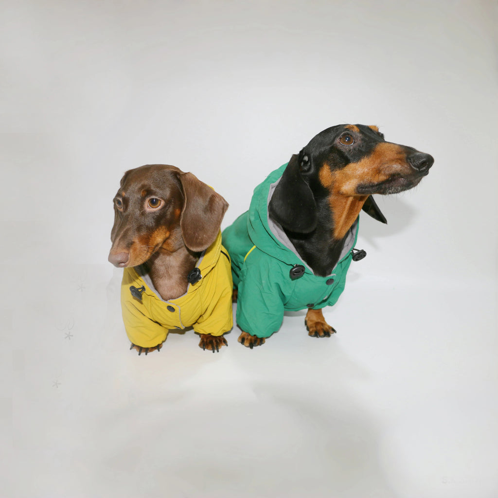 🌭Dackeljacke mit Kapuze für vier Beine – Weicher, winddichter Wintermantel für kleine Hunde