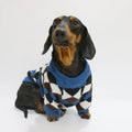 ⭐ Hunde Pullover 100% Baumwolle | Weicher Strickpulli Dackel & Frenchie | Warm & Atmungsaktiv