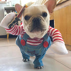 Lustiges Halloween-Hundekostüm für kleine und mittelgroße Hunde, Katzen, verstellbar, für Welpen, Cosplay, Party, Französische Bulldogge, Chihuahua, Haustierkleidung