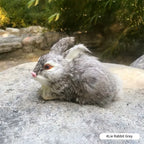 ⭐ Realistische Tierfigur Deko | Katze Fuchs Eule Hase mit Fell | Simulation Modell | Deko