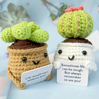 ⭐ Häkel Kaktus mit Karte | Positive Vibes Geschenk | Emotional Support Plant | Handgemacht