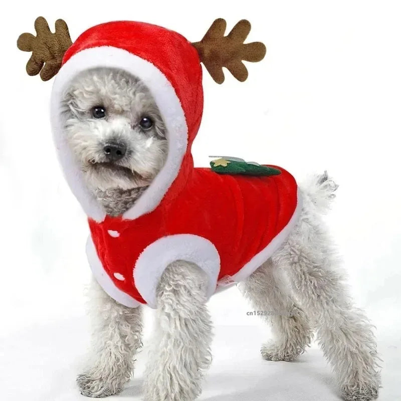 ⭐ Hunde Hoodie Weihnachten Rentier | Roter Wintermantel mit Geweih | Warm & Weich XS-XXL