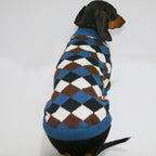 ⭐ Hunde Pullover 100% Baumwolle | Weicher Strickpulli Dackel & Frenchie | Warm & Atmungsaktiv