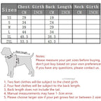 ⭐ Hunde Hoodie Weihnachten Rentier | Roter Wintermantel mit Geweih | Warm & Weich XS-XXL