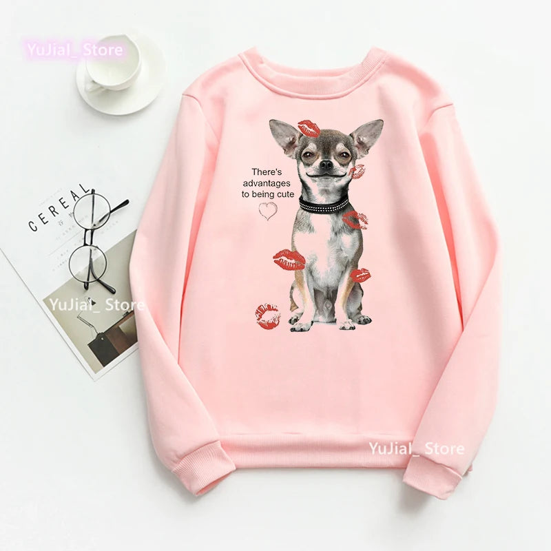 Women Funny Dog Lover Hoodies A Schnauzer Stole My Heart Graphic Print Sweatshirt Harajuku Kawaii Winter/Spring/Autumn Clothes