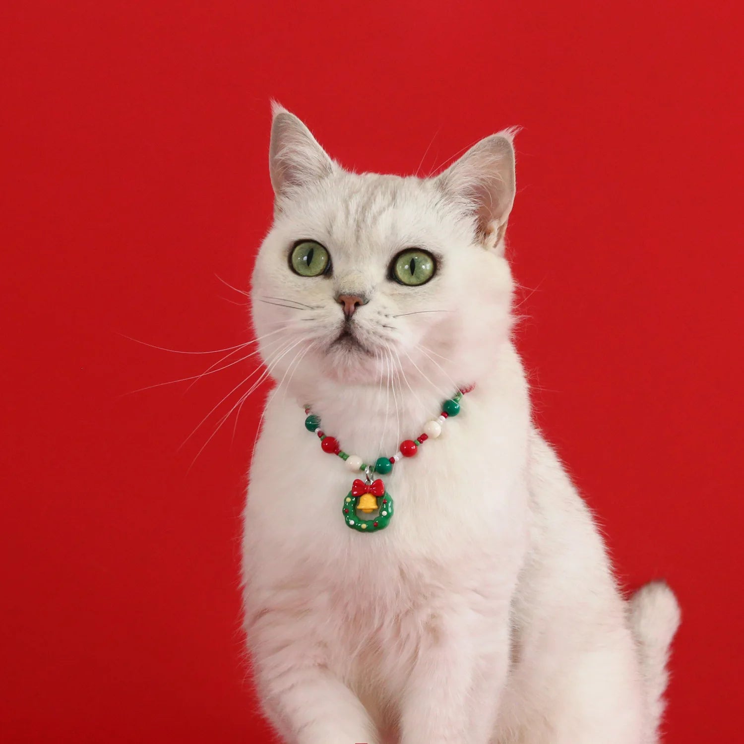 ⭐ Weihnachts Halsband für Katzen & kleine Hunde | Luxus Deko Necklace | Festlicher Schmuck