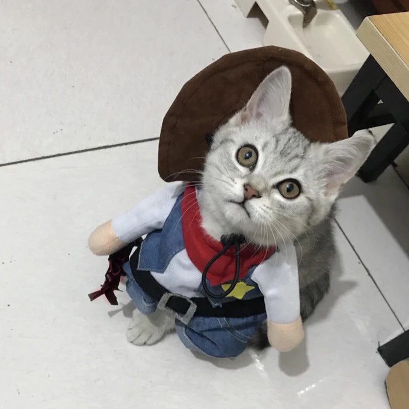 ⭐ Haustier Hund Katze Kostüm | Cowboy Jeans Hoodie | Halloween Jumpsuit Welpen