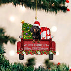 ⭐ Dackel Weihnachtsbaum Anhänger | Lustiger Hunde Christbaumschmuck | Deko & Geschenk