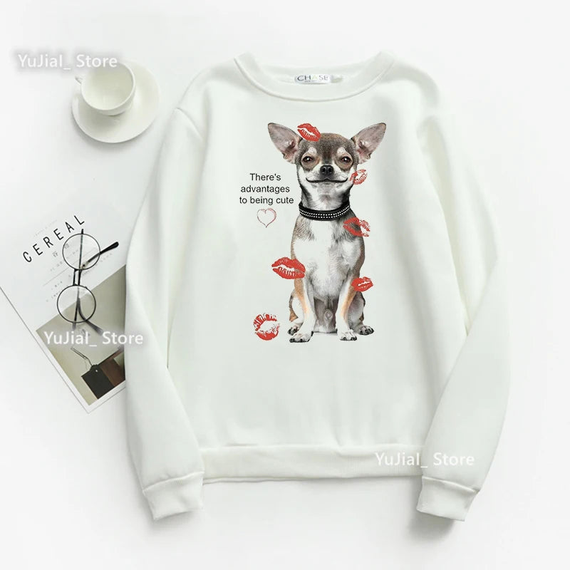 Women Funny Dog Lover Hoodies A Schnauzer Stole My Heart Graphic Print Sweatshirt Harajuku Kawaii Winter/Spring/Autumn Clothes