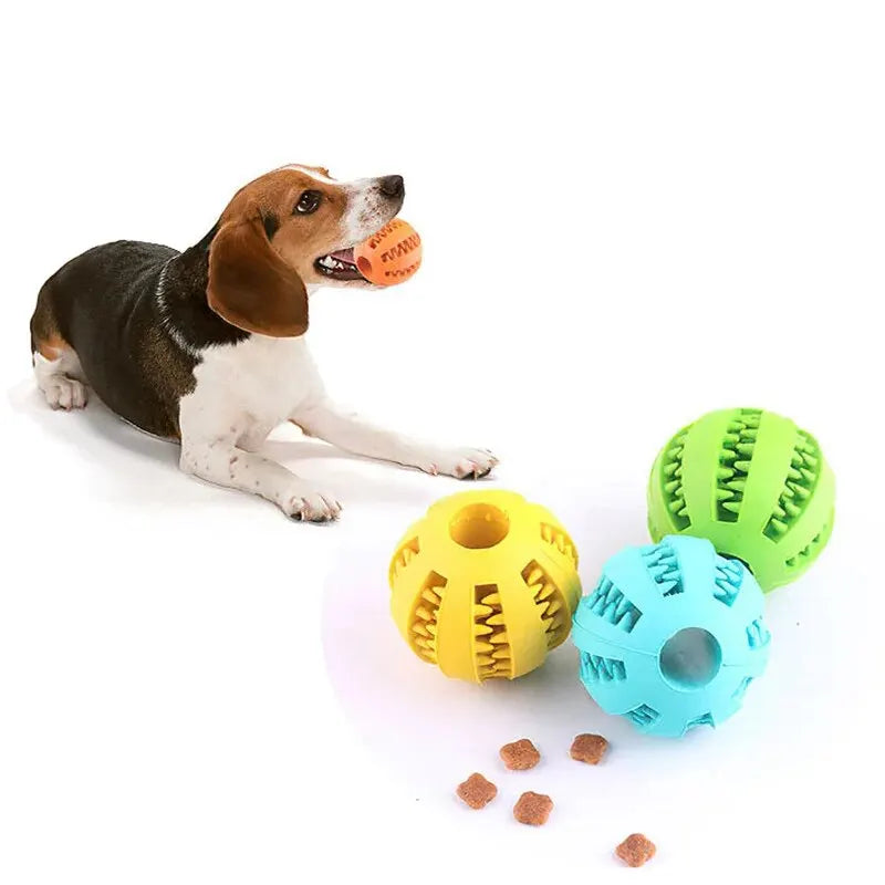 Hundespielzeugball, ungiftiger, bissfester Spielzeugball für Hunde, Welpen und Katzen, Futterspender für Hunde und Katzen, Kau- und Zahnreinigungsball