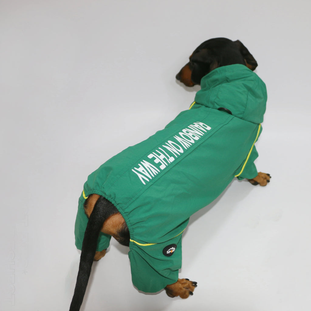 🌭Dackeljacke mit Kapuze für vier Beine – Weicher, winddichter Wintermantel für kleine Hunde