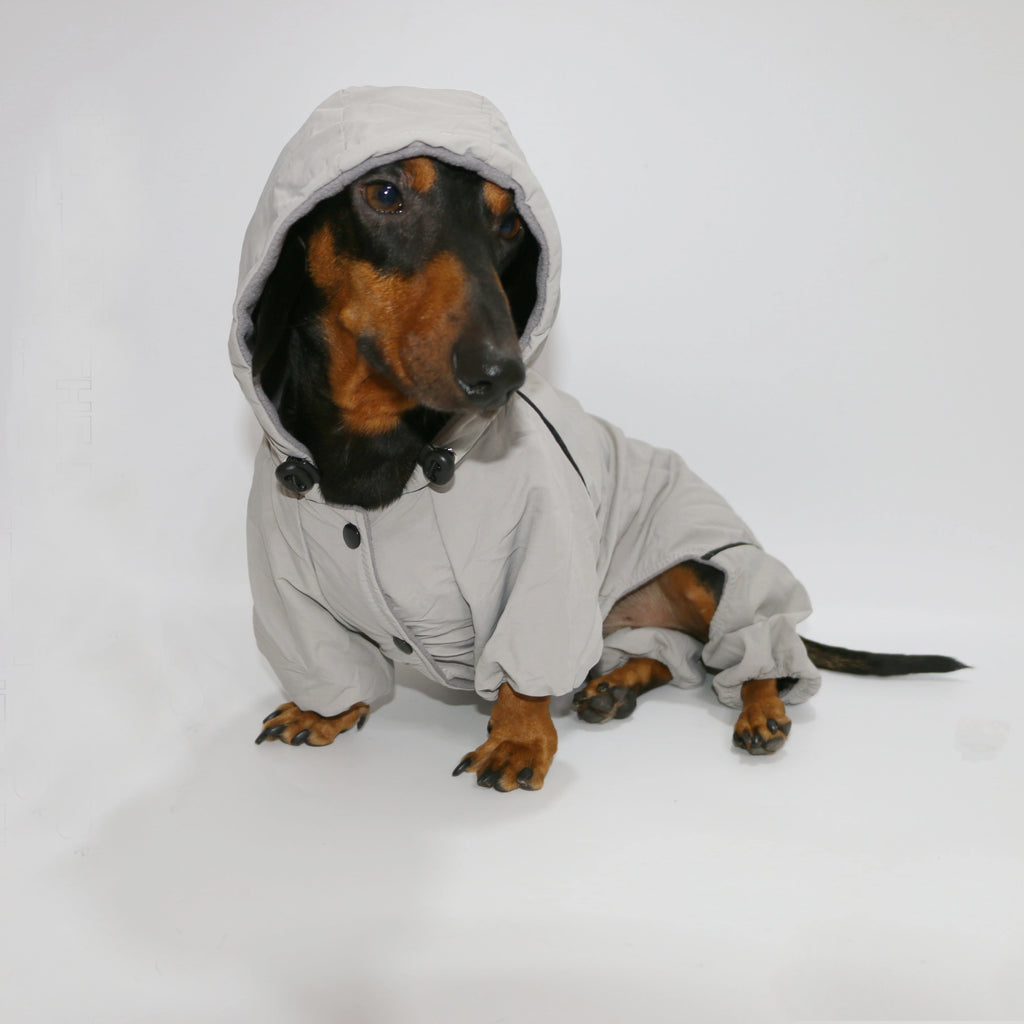 🌭Dackeljacke mit Kapuze für vier Beine – Weicher, winddichter Wintermantel für kleine Hunde