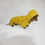 🌭Dackeljacke mit Kapuze für vier Beine – Weicher, winddichter Wintermantel für kleine Hunde