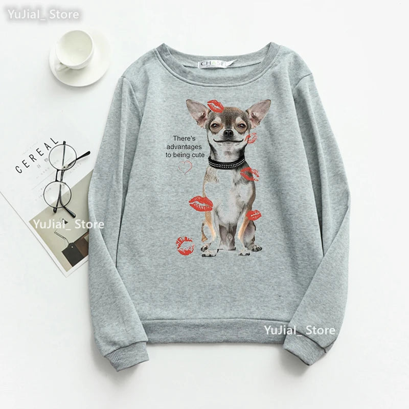 Women Funny Dog Lover Hoodies A Schnauzer Stole My Heart Graphic Print Sweatshirt Harajuku Kawaii Winter/Spring/Autumn Clothes