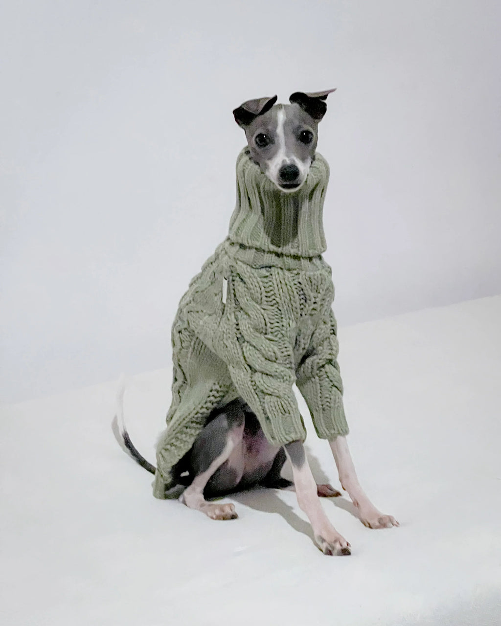 ⭐ Hundepullover mit Rollkragen | High-Neck Woll-Strick | Extra Warm S-XXXL | fellundmasche