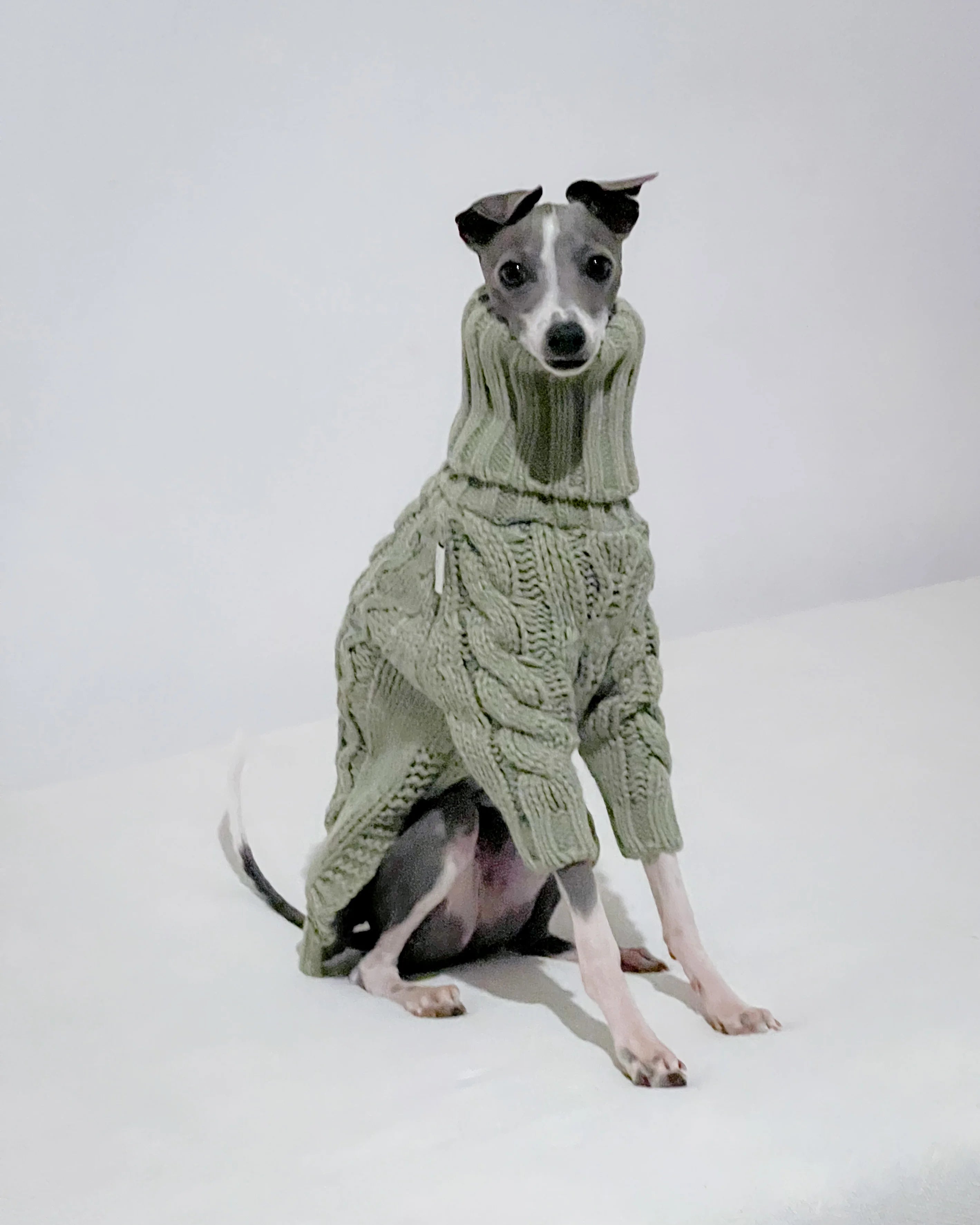 ⭐ Hundepullover mit Rollkragen | High-Neck Woll-Strick | Extra Warm S-XXXL | fellundmasche